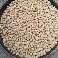 نخود درشت بوجاری شده جنسیت اصل کرمانشاه خوش پخت