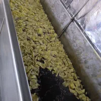 خوش خوراک وخوشمزه.چیپس درجه یک.سیب اردبیل|خوردنی و آشامیدنی|اصفهان, پروین|دیوار
