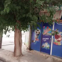 رهن و اجاره مغازه بیست متری در گذر پر تردد