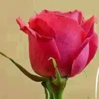 120-متر-فضا-مناسب-مکانیکی-صافکاری-هتل-آپارتمان-و