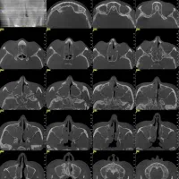 نوبت دهی پزشکان بهبهان