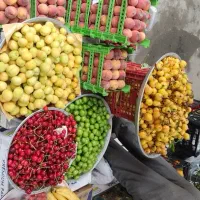 استخدام فروشنده میوه و تره‌بار (ترجیحاً خانم)