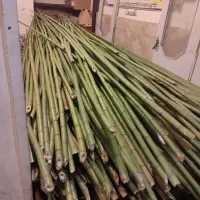 فروش چوب بامبو(پرچم)