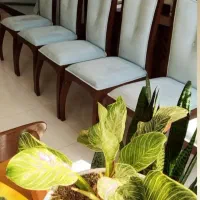 مبل شویی/برتر/استان کرمانشاه/مبلشویی/ نانوشایسته|خدمات نظافت|کرمانشاه, |دیوار