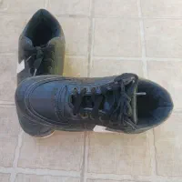 کیف و کفش|کیف، کفش، کمربند|همدان, |دیوار