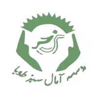 همراه خانم سالمتد