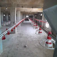 لوازم مرغداری کلیه تجهیزات|ماشین‌آلات صنعتی|لوشان, |دیوار