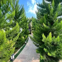 ویلایی ' دنج ' لوکیشن بی نظیر / اقساط ۲ ساله|فروش خانه و ویلا|چالوس, |دیوار