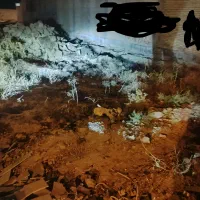 فروش زمین مسکونی