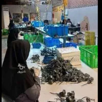 شرکت کالای روشنایی پاسوآ|استخدام صنعتی، فنی، مهندسی|کهریزک, |دیوار