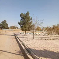 زمین/شهیدغلام زاده|فروش زمین و ملک کلنگی|تربت جام, شهید غلام زاده|دیوار