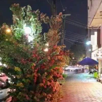 معرفی مغازه در اطراف میدان لاکانی با امتیازات کامل