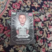 کیمدی سیلور(لیمیتد)