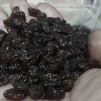 کشمش آفتابی پلویی پاک شده