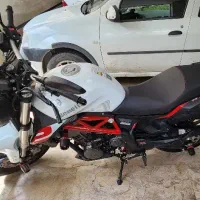 بنلی ۳۰۰ جفت  ۱۴۰۱