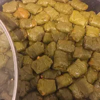 آ‌شپزی|خوردنی و آشامیدنی|نقده, |دیوار