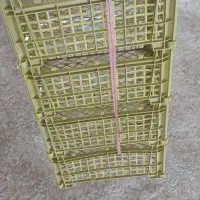 فروش جعبه 5 کیلیویی