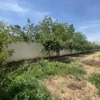 ۲۰۰مترزمین سند تک برگ آب برق گازکنتورکردان سهیلیه|فروش زمین و ملک کلنگی|کرج, فاز ۲ مهرشهر|دیوار