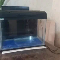 آکواریوم  شرکتی سوبو