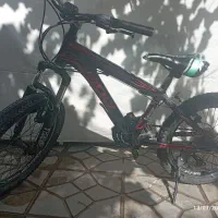 دوچرخه Rake سایز ۲۰