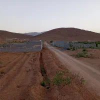 باغ|فروش زمین و ملک کلنگی|مبارکه, |دیوار