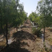 باغ ویلا د فخرآباد تقاب|فروش خانه و ویلا|خوسف, |دیوار