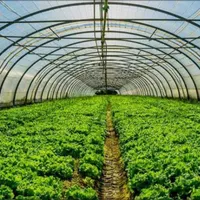 کارشناس فروش خانم