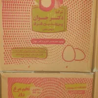 استخدام در مرغداری تخم گذار