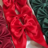 فروش تک و عمده گیره‌موی پاپیونی|زیورآلات و اکسسوری|گنبد کاووس, |دیوار