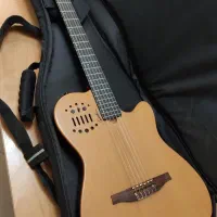 گودین godin multiac acs slim