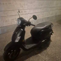 اس وای ام فیدل ۳