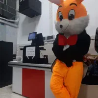 تنپوش عروسکی درحد نو