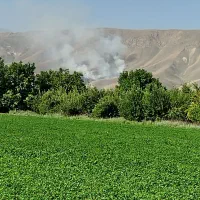 زمین-کشاورزی-اجاره