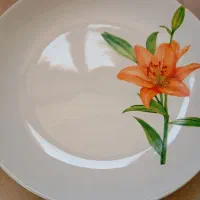 سرویس ۵۲پارچ سرامیکی|ظروف سرو و پذیرایی|شیراز, فرگاز|دیوار