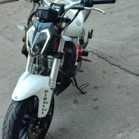 بنلی جفت مدل ۱۴۰۱