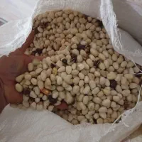 پسته پوک.دهنبست.کمر آبی