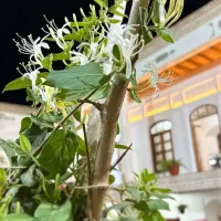 کمک اشپز خانم،ظرفشور،کارگر ساده|استخدام خدمات فروشگاه و رستوران|سبزوار, مدرس|دیوار