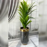 درختچه های وارداتی|گل مصنوعی|رشت, قاسمیه|دیوار