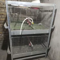 قفس جوجه مرغ و بلدرچین