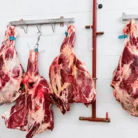سوپر گوشت مهدی بلبلی