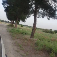 زمین|فروش زمین و ملک کلنگی|کهریزک, |دیوار