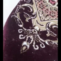 فرش 9متری|فرش|گلبهار, شهر جدید گلبهار|دیوار