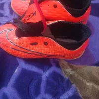 کفش سالنی|کیف، کفش، کمربند|کرمان, |دیوار