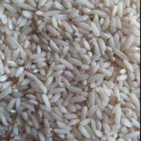 برنج ایرانی هلیلان