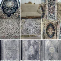 گالری فرش امیر|فرش|سنندج, |دیوار