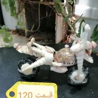 مجسمه های صدفی زیبا|مجسمه، تندیس، ماکت|جهرم, |دیوار