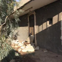دامداری قم شهرک لبن ۴۰ راسی|فروش دفتر صنعتی، کشاورزی، تجاری|قنوات, |دیوار
