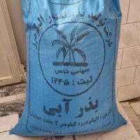 بذر گندم اصلاح شده میهن