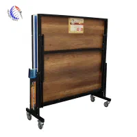 میز پینگ پنگ المپیک