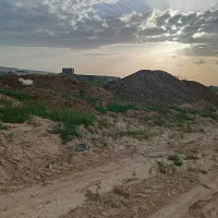 با گوسفندی وگاوی ومرغی|خدمات باغبانی و درختکاری|قوچان, |دیوار